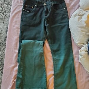 Fallon Taylor ombre Green Fashion flare jeans
